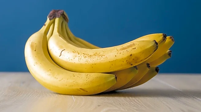Yellow Banana to Close Six Save A Lot Stores in Chicago Due to Financial Strain