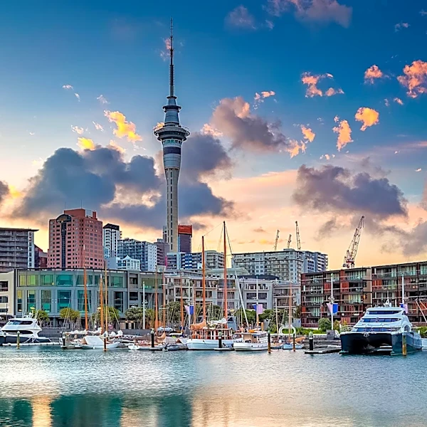 New Zealand Hotel Sector Shows Mixed Performance Amid Rising International Arrivals