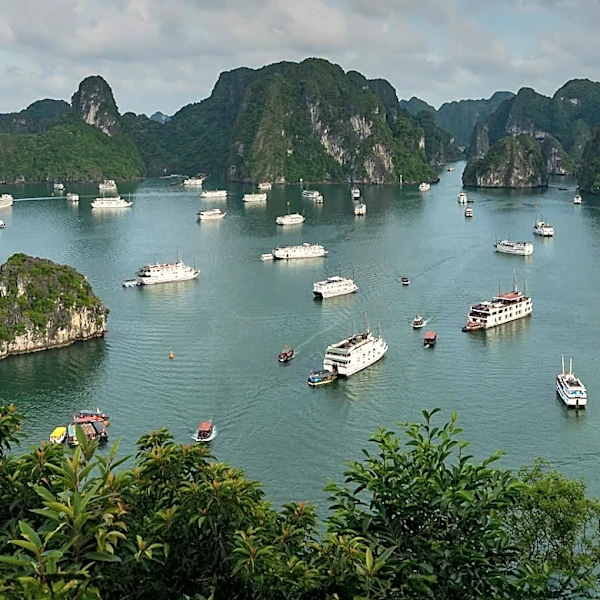 Vietnam's Tourism Sector Sees 11% Increase in International Arrivals, Boosting Market Resilience