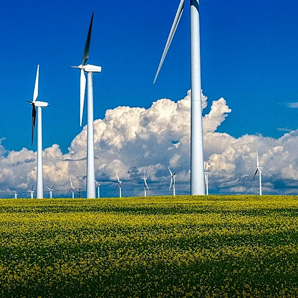 Missoula and Bozeman Near Approval of Green Power Program