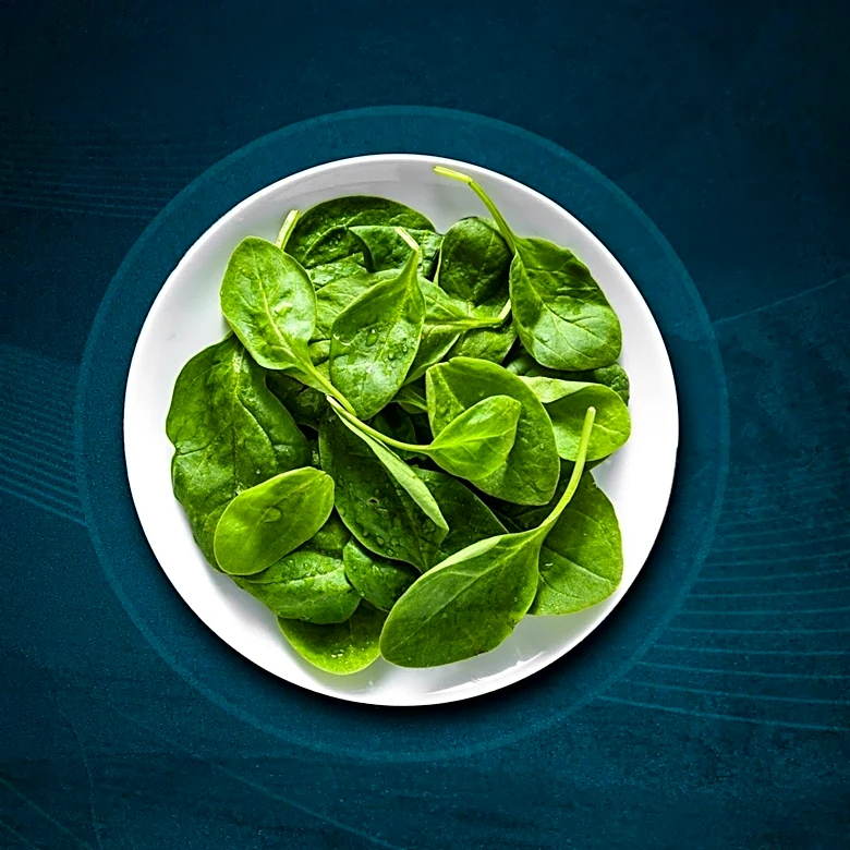 Food Policy Reform: Embracing Plant-Forward Menus for Climate and Health Benefits