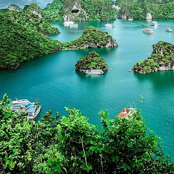 Vietnam Experiences 11% Growth in International Air Arrivals in March 2026