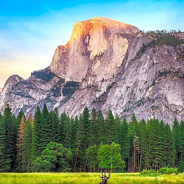 Clarifying the Misconceptions About Yosemite's $70,000 Rescue Video