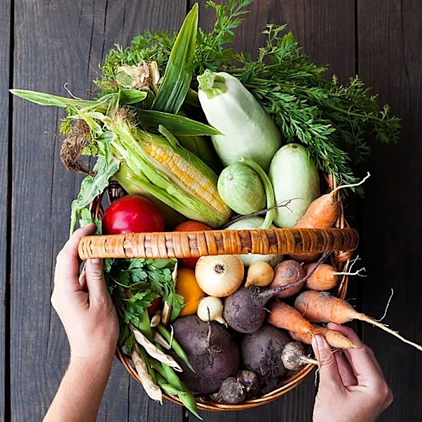 UN Report Highlights Global Challenge of Affordable Healthy Diets Amid Declining Hunger