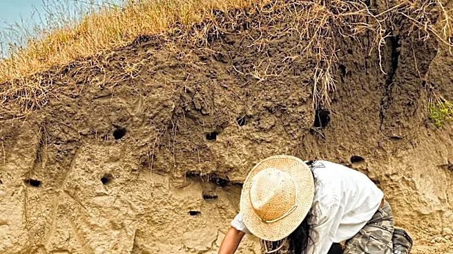 Archaeologists in El Salvador Discover 3,000-Year-Old Human Remains