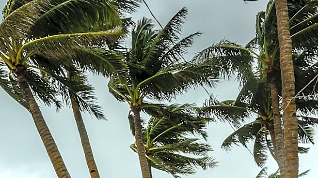 Tropical Storm Bertha Prompts Beach Closures and Preparations Along Gulf Coast