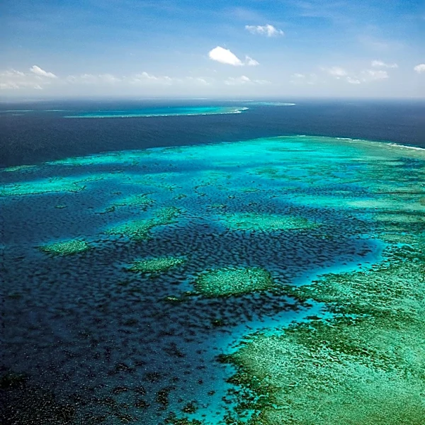 Great Barrier Reef Microbiome Study Reveals New Insights into Marine Ecosystems