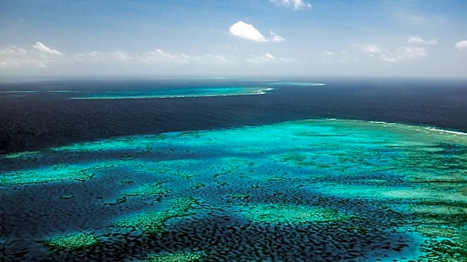Great Barrier Reef Microbiome Study Reveals New Insights into Marine Ecosystems