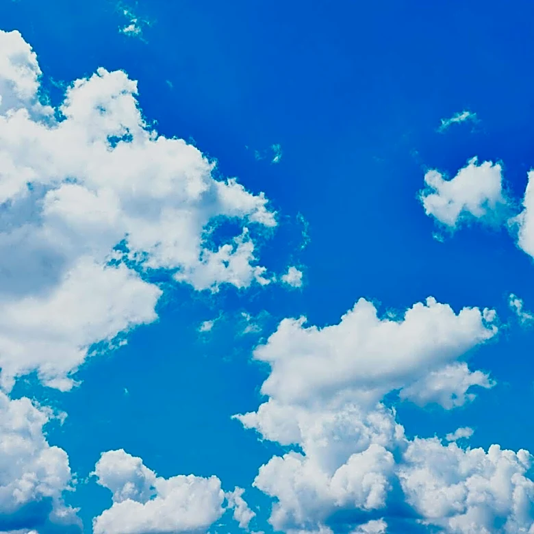 Maryland Weather Conditions Show Improvement as Forecast Predicts Clearer Skies