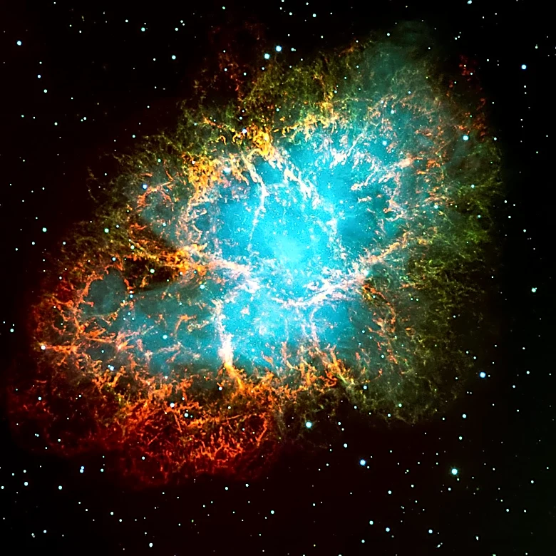 Astronomers Confirm First Pair of Sibling Supernovae Hidden in Jellyfish Nebula