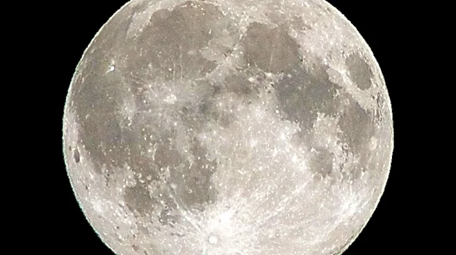Google Maps Leads to Discovery of 390-Million-Year-Old Meteorite Crater