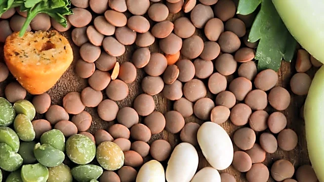 Doctors Advocate for Increased Fiber Intake to Combat Heart Disease and Diabetes