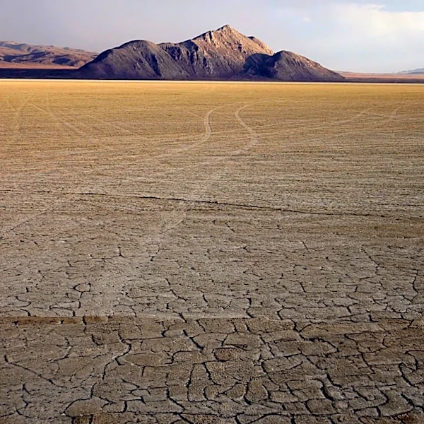 Hannah Freeze Appointed as New Great Salt Lake Commissioner Amid Declining Water Levels