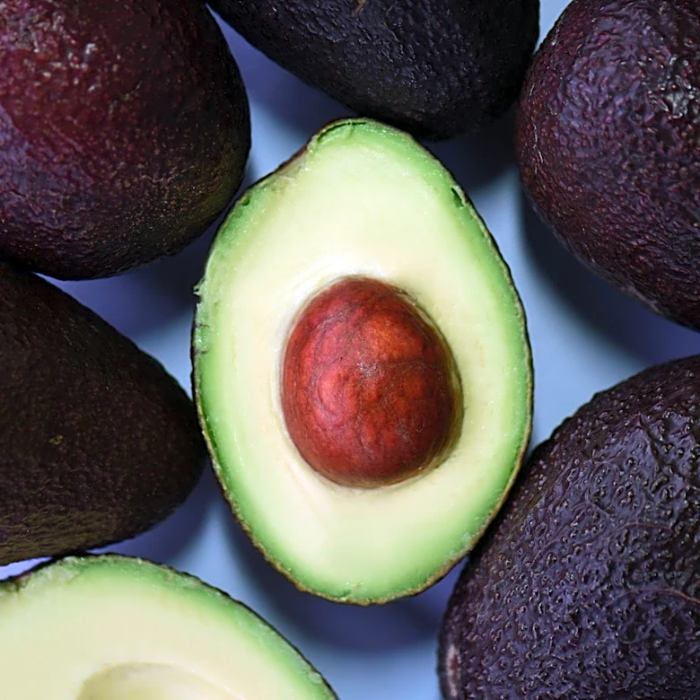 Genetically Distinct Avocados Discovered in Nicaragua, Offering Agricultural Insights