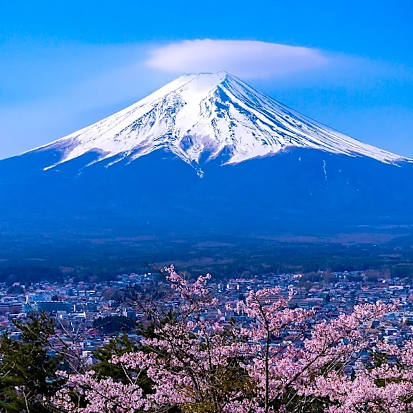 Swiss Euthanasia Firm Director Dies While Climbing Mount Fuji
