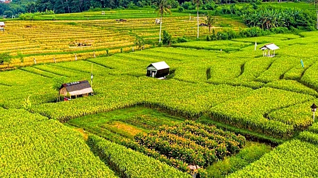 Prime Minister Balendra Shah Engages with Nepal Organic Association on Agriculture Promotion