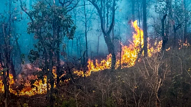 Evacuation Orders Issued in British Columbia as Wildfires Intensify