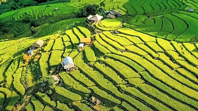 Asia Pacific Agriculture Gateway Market Poised for Significant Growth