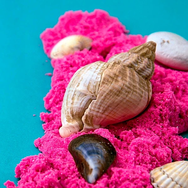 Ordovician Seashells Became New Ecosystems 470 Million Years Ago