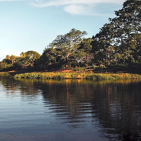 Waties Island in Horry County Set to Become South Carolina's Newest State Park