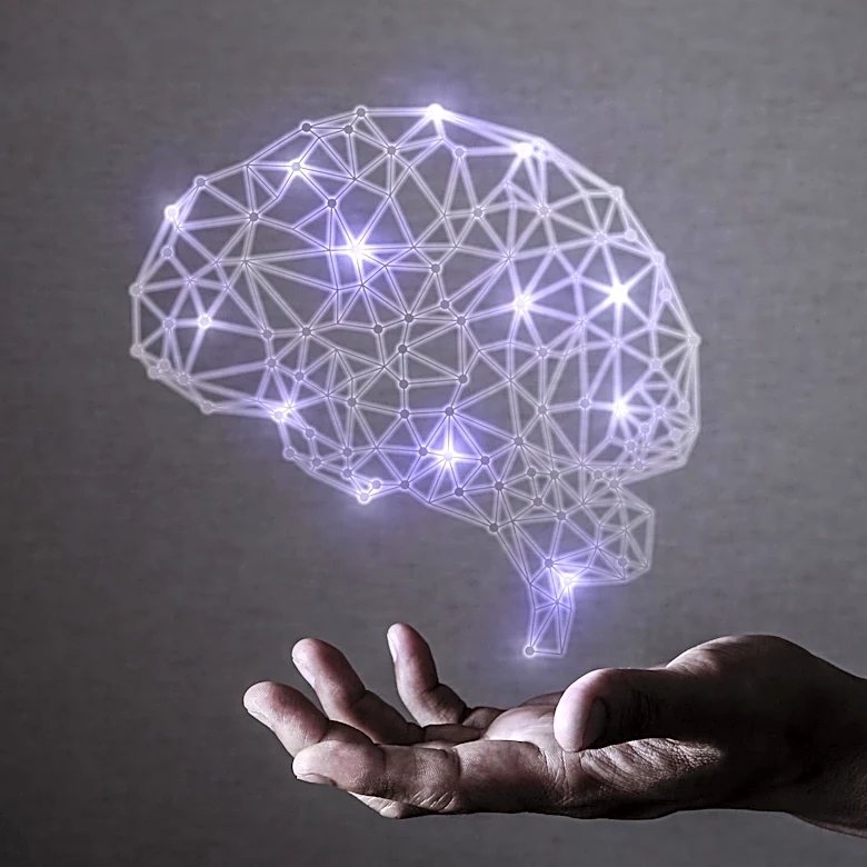 New Computational Model Suggests Brain Structure Influences Alzheimer's Progression
