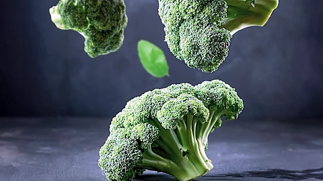 FDA Identifies New Cyclospora Outbreak Linked to Unspecified Product