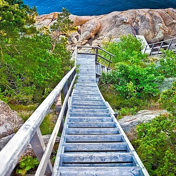 Acadia National Park Faces Frequent Ankle Injuries Due to Slippery Terrain