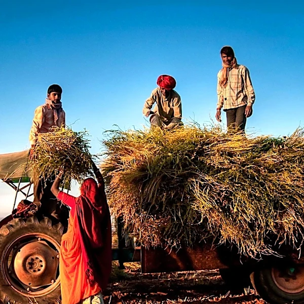 FAO Director and Nepal's Agriculture Minister Discuss Agricultural Cooperation
