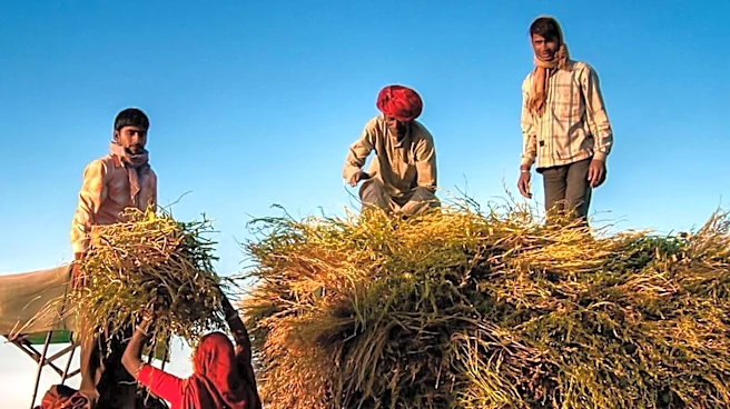 FAO Director and Nepal's Agriculture Minister Discuss Agricultural Cooperation