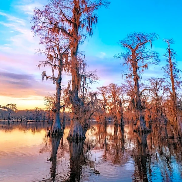 Controversy Surrounds Okefenokee's Potential World Heritage Site Designation
