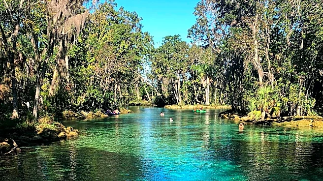 Disneyland Cast Member's Unusual Swim in Rivers of America Amid Heatwave