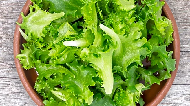Oregon Reports Cyclospora Cases Linked to National Lettuce Recall
