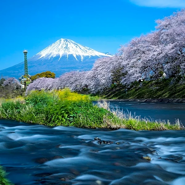 Swiss Euthanasia Firm Head Dies on Mount Fuji; 99-Year-Old Rescued