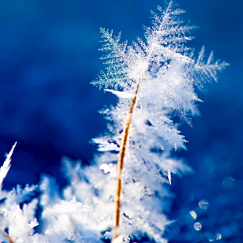 NASA Data Reveals Less Predictable Winter Weather Patterns in Wisconsin