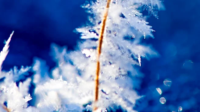 NASA Data Reveals Less Predictable Winter Weather Patterns in Wisconsin