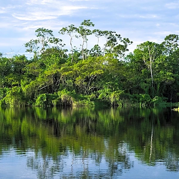 Georgia's Okefenokee Swamp Added to UNESCO World Heritage List Amid Local Concerns
