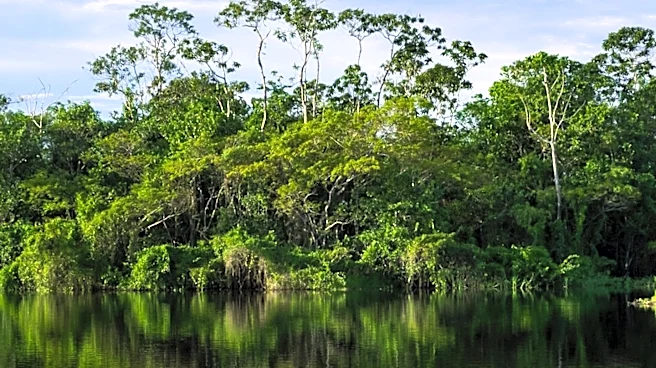 Georgia's Okefenokee Swamp Added to UNESCO World Heritage List Amid Local Concerns