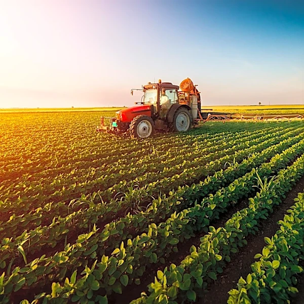 Taylor Farms CEO Addresses Cyclospora Outbreak Amid Class-Action Lawsuit