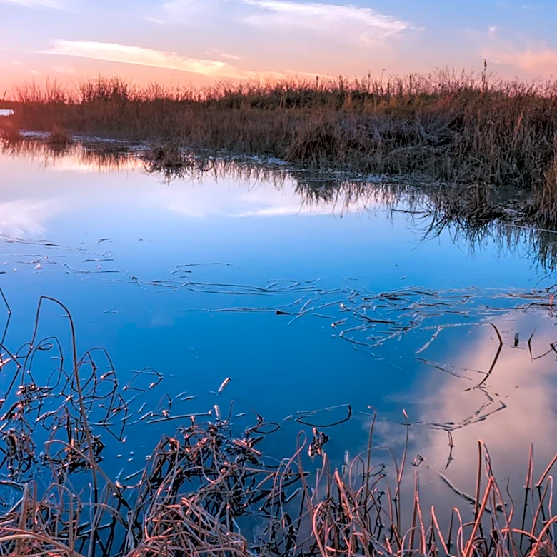 Okefenokee Swamp Designated as UNESCO World Heritage Site, Recognizing Its Cultural and Natural Significance