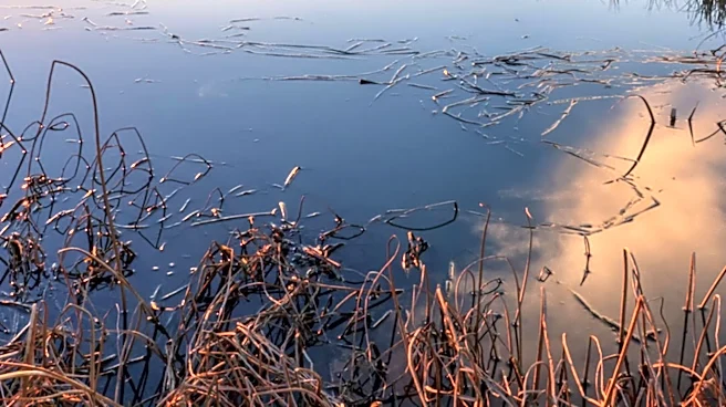 Okefenokee Swamp Designated as UNESCO World Heritage Site, Recognizing Its Cultural and Natural Significance