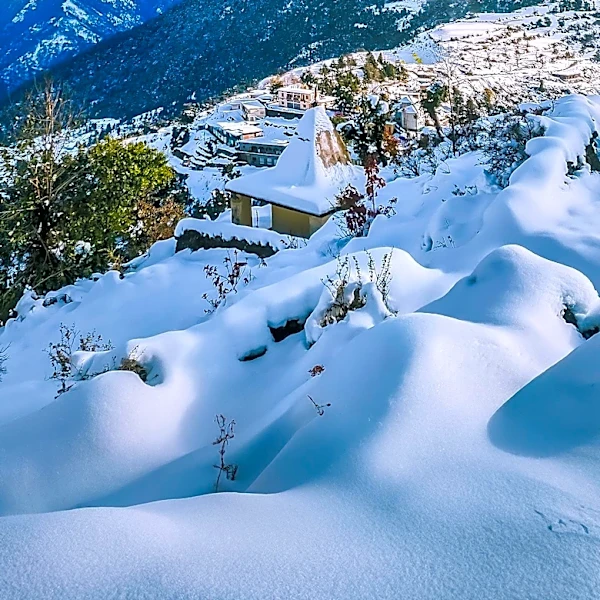 Thredbo Resort Achieves EarthCheck Platinum Certification for Sustainability
