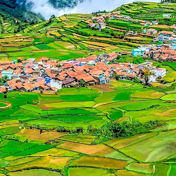 Madhesh Province to Implement Integrated Agriculture Program to Boost Farming