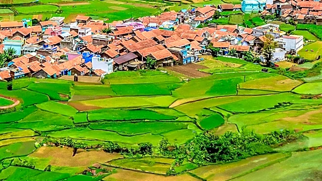 Madhesh Province to Implement Integrated Agriculture Program to Boost Farming