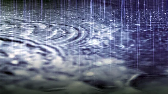 Rainfall Temporarily Reduces Fire Activity on Horse Island Fire in South Carolina