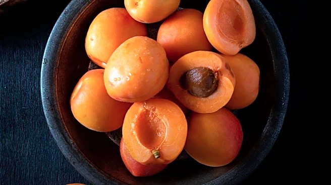 Armenian Apricot Exports to France Raise Concerns Over Trade Volumes