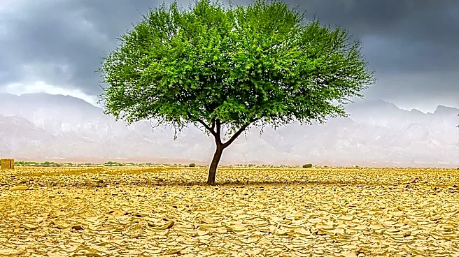 Climate and Agricultural Technologies Increase Foreign Influence in Middle East