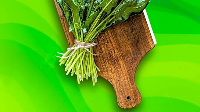 Taylor Farms' Request to Delay Cyclospora Recall Raises Concerns Over FDA Procedures