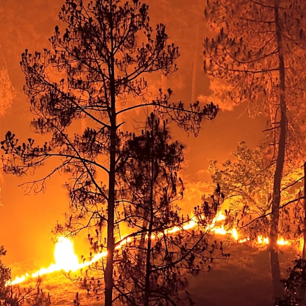 Brunswick Complex Wildfire Forces Evacuations in Fraser Canyon