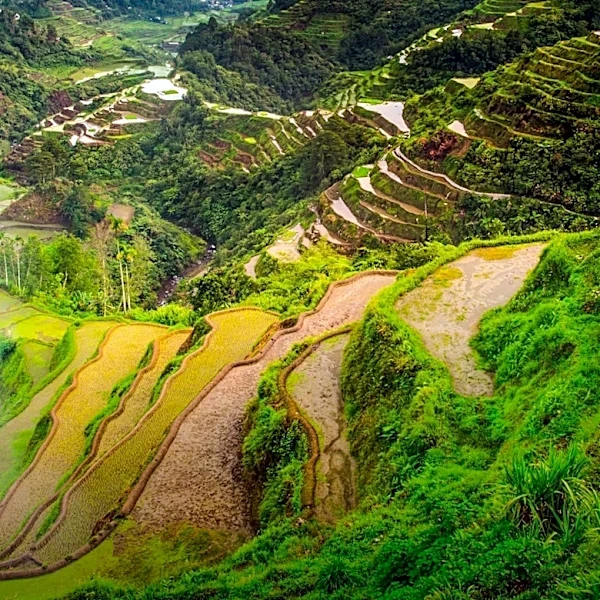 Department of Agriculture Plans Infrastructure Boost to Enhance Philippine Agricultural Sector