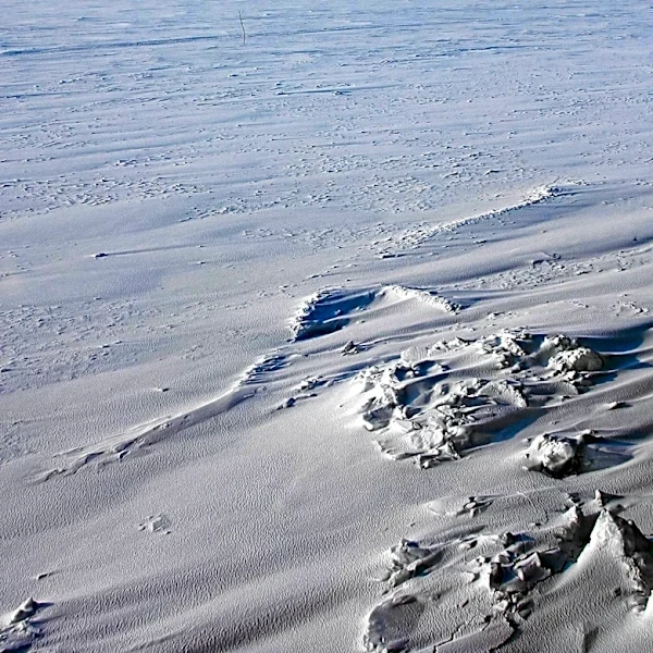 Antarctica Identified as World's Largest Desert Due to Low Precipitation